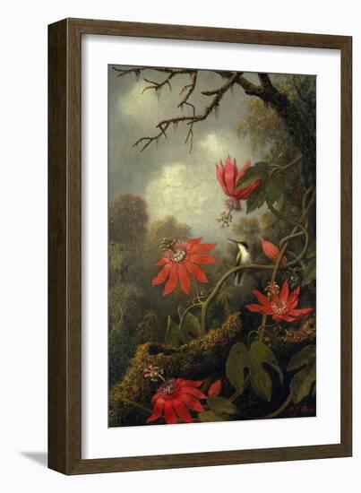 Hummingbird and Passionflowers, c.1875–85-Martin Johnson Heade-Framed Giclee Print