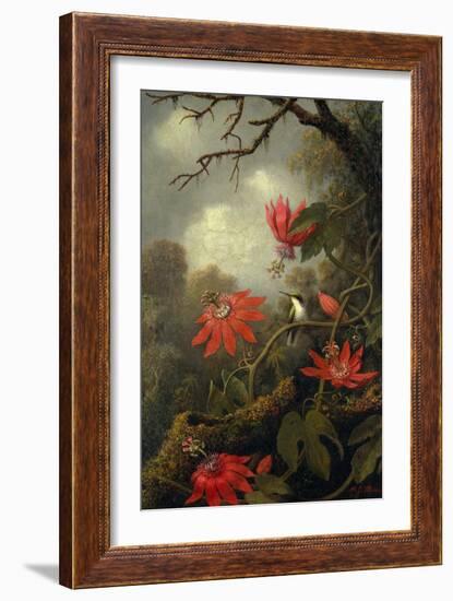 Hummingbird and Passionflowers, c.1875–85-Martin Johnson Heade-Framed Giclee Print