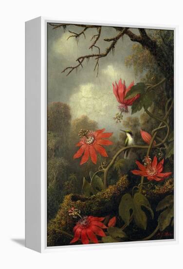 Hummingbird and Passionflowers, c.1875–85-Martin Johnson Heade-Framed Premier Image Canvas