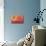Hummingbird and Peach Hibiscus-Jai Johnson-Premium Giclee Print displayed on a wall