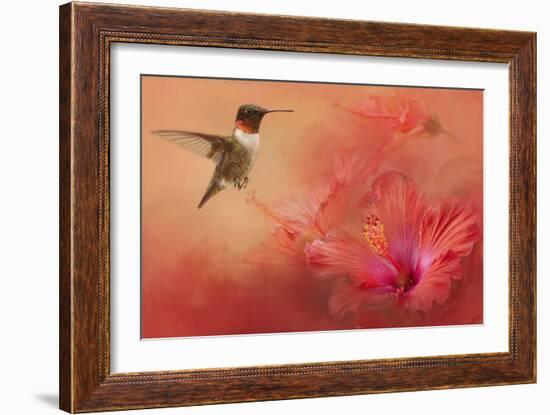 Hummingbird and Peach Hibiscus-Jai Johnson-Framed Giclee Print