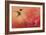 Hummingbird and Peach Hibiscus-Jai Johnson-Framed Giclee Print