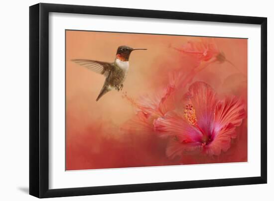 Hummingbird and Peach Hibiscus-Jai Johnson-Framed Giclee Print