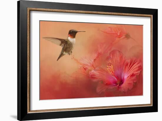 Hummingbird and Peach Hibiscus-Jai Johnson-Framed Giclee Print