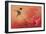 Hummingbird and Peach Hibiscus-Jai Johnson-Framed Giclee Print