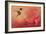 Hummingbird and Peach Hibiscus-Jai Johnson-Framed Giclee Print