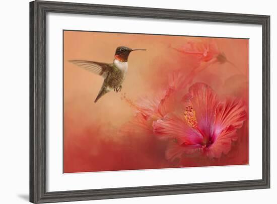 Hummingbird and Peach Hibiscus-Jai Johnson-Framed Giclee Print