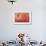 Hummingbird and Peach Hibiscus-Jai Johnson-Framed Giclee Print displayed on a wall