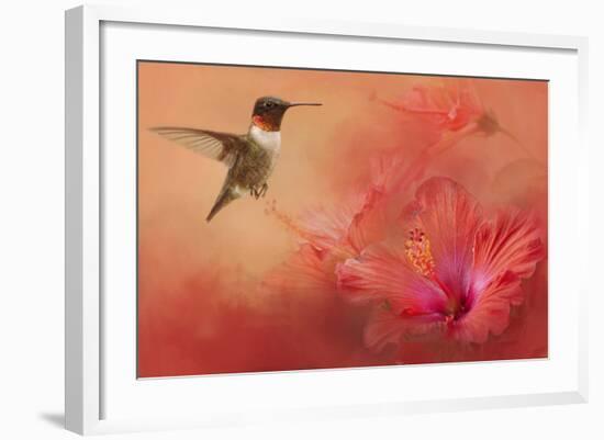 Hummingbird and Peach Hibiscus-Jai Johnson-Framed Giclee Print