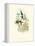 Hummingbird Delight I-John Gould-Framed Stretched Canvas