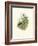 Hummingbird Delight IV-John Gould-Framed Art Print