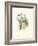 Hummingbird Delight VII-John Gould-Framed Art Print