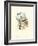 Hummingbird Delight VII-John Gould-Framed Art Print