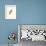 Hummingbird Delight XII-John Gould-Framed Art Print displayed on a wall