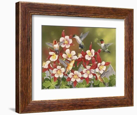Hummingbird Feeding Frenzy-William Vanderdasson-Framed Premium Giclee Print