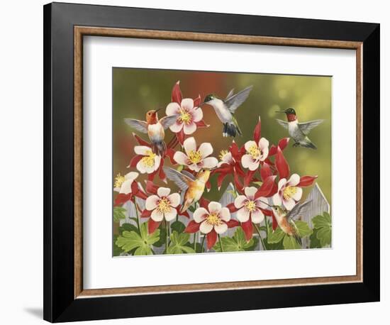 Hummingbird Feeding Frenzy-William Vanderdasson-Framed Premium Giclee Print