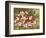 Hummingbird Feeding Frenzy-William Vanderdasson-Framed Premium Giclee Print