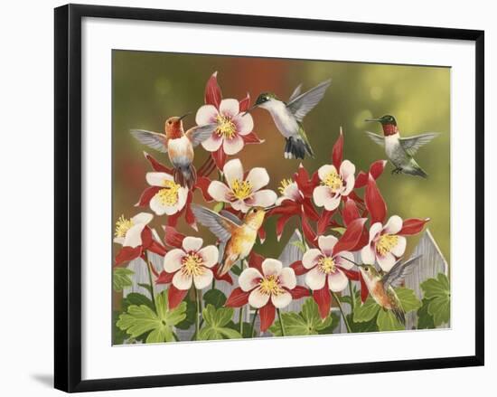 Hummingbird Feeding Frenzy-William Vanderdasson-Framed Giclee Print