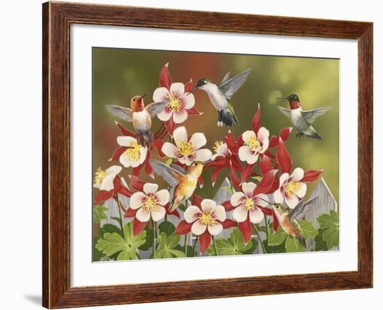 Hummingbird Feeding Frenzy-William Vanderdasson-Framed Giclee Print