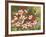 Hummingbird Feeding Frenzy-William Vanderdasson-Framed Giclee Print