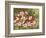 Hummingbird Feeding Frenzy-William Vanderdasson-Framed Giclee Print