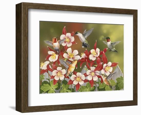 Hummingbird Feeding Frenzy-William Vanderdasson-Framed Giclee Print