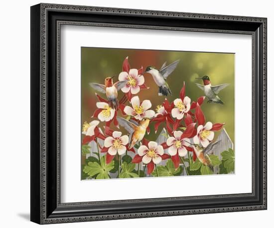 Hummingbird Feeding Frenzy-William Vanderdasson-Framed Giclee Print