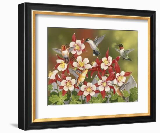 Hummingbird Feeding Frenzy-William Vanderdasson-Framed Giclee Print