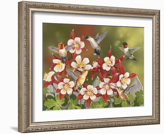 Hummingbird Feeding Frenzy-William Vanderdasson-Framed Giclee Print