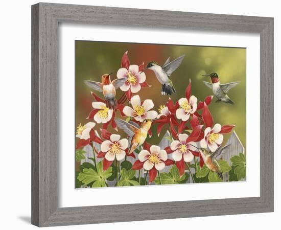 Hummingbird Feeding Frenzy-William Vanderdasson-Framed Giclee Print