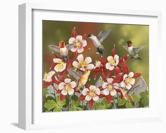 Hummingbird Feeding Frenzy-William Vanderdasson-Framed Giclee Print