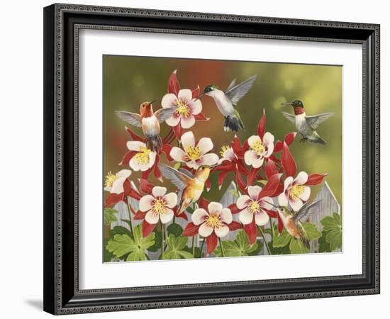 Hummingbird Feeding Frenzy-William Vanderdasson-Framed Giclee Print