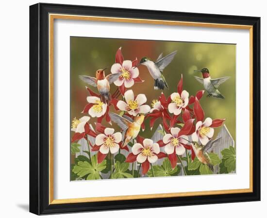 Hummingbird Feeding Frenzy-William Vanderdasson-Framed Giclee Print