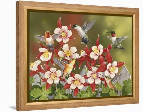 Hummingbird Feeding Frenzy-William Vanderdasson-Framed Premier Image Canvas