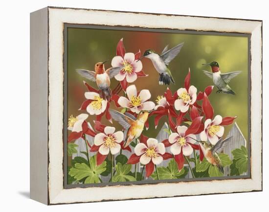 Hummingbird Feeding Frenzy-William Vanderdasson-Framed Premier Image Canvas