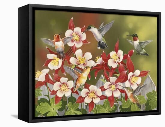 Hummingbird Feeding Frenzy-William Vanderdasson-Framed Premier Image Canvas