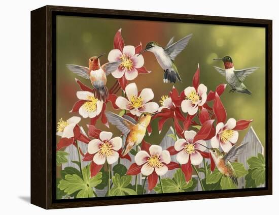 Hummingbird Feeding Frenzy-William Vanderdasson-Framed Premier Image Canvas