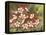 Hummingbird Feeding Frenzy-William Vanderdasson-Framed Premier Image Canvas