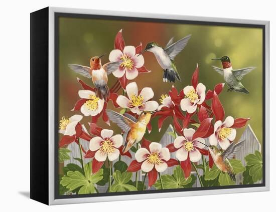 Hummingbird Feeding Frenzy-William Vanderdasson-Framed Premier Image Canvas