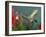 Hummingbird Feeding on Petunia, Madera Canyon, Arizona, USA-Rolf Nussbaumer-Framed Photographic Print