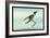 Hummingbird: Female Trochilus Cornutus-Sir William Jardine-Framed Art Print