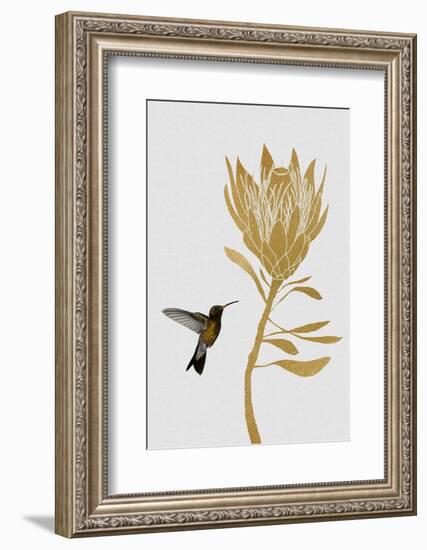 Hummingbird & Flower I-Orara Studio-Framed Photographic Print