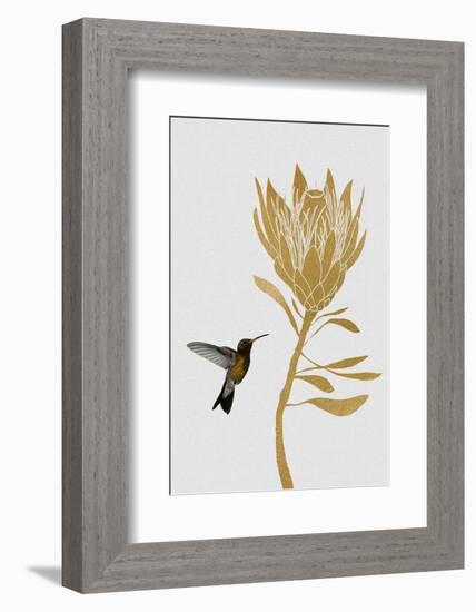 Hummingbird & Flower I-Orara Studio-Framed Photographic Print