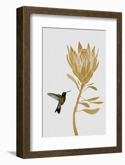 Hummingbird & Flower I-Orara Studio-Framed Photographic Print