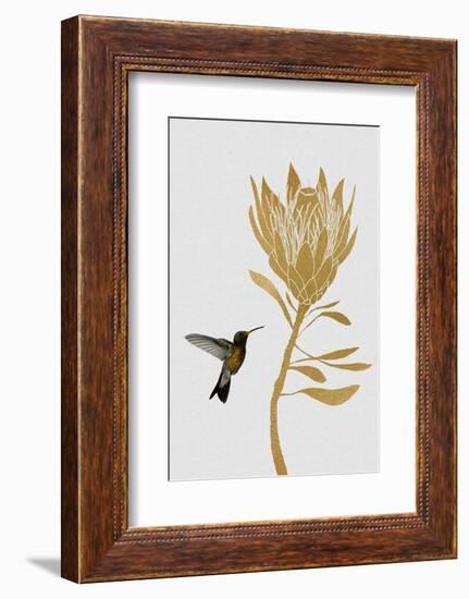 Hummingbird & Flower I-Orara Studio-Framed Photographic Print