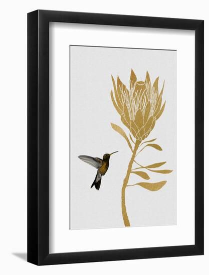 Hummingbird & Flower I-Orara Studio-Framed Photographic Print
