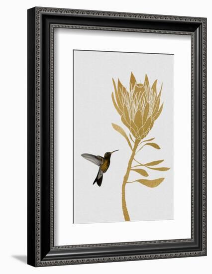 Hummingbird & Flower I-Orara Studio-Framed Photographic Print