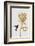 Hummingbird & Flower I-Orara Studio-Framed Photographic Print