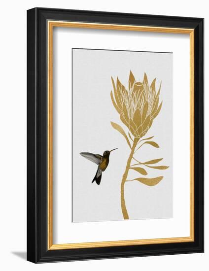 Hummingbird & Flower I-Orara Studio-Framed Photographic Print