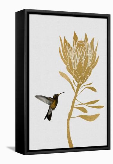 Hummingbird & Flower I-Orara Studio-Framed Premier Image Canvas